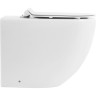 Унитаз приставной безободковый BELBAGNO BB2141CBR/BB865SC